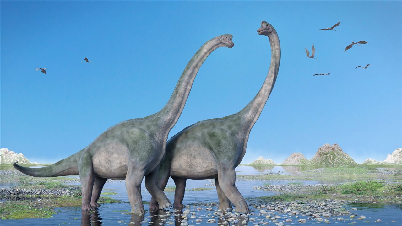 Los saurópodos son los animales terrestres más grandes que jamás han existido