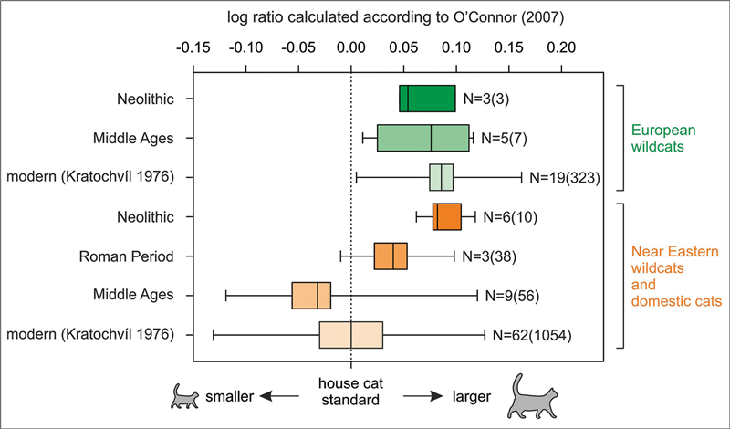 Variación del tamaño medio del gato salvaje europeo (en verde) y el gato doméstico (en naranja)
