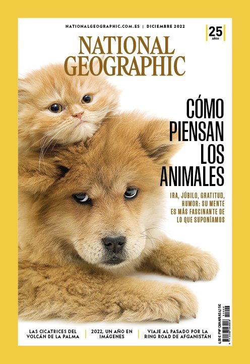 Revistas National Geographic En Miniatura Escala 1:12 - 2 Piezas Para Casas De Muñecas, Hechas A Mano