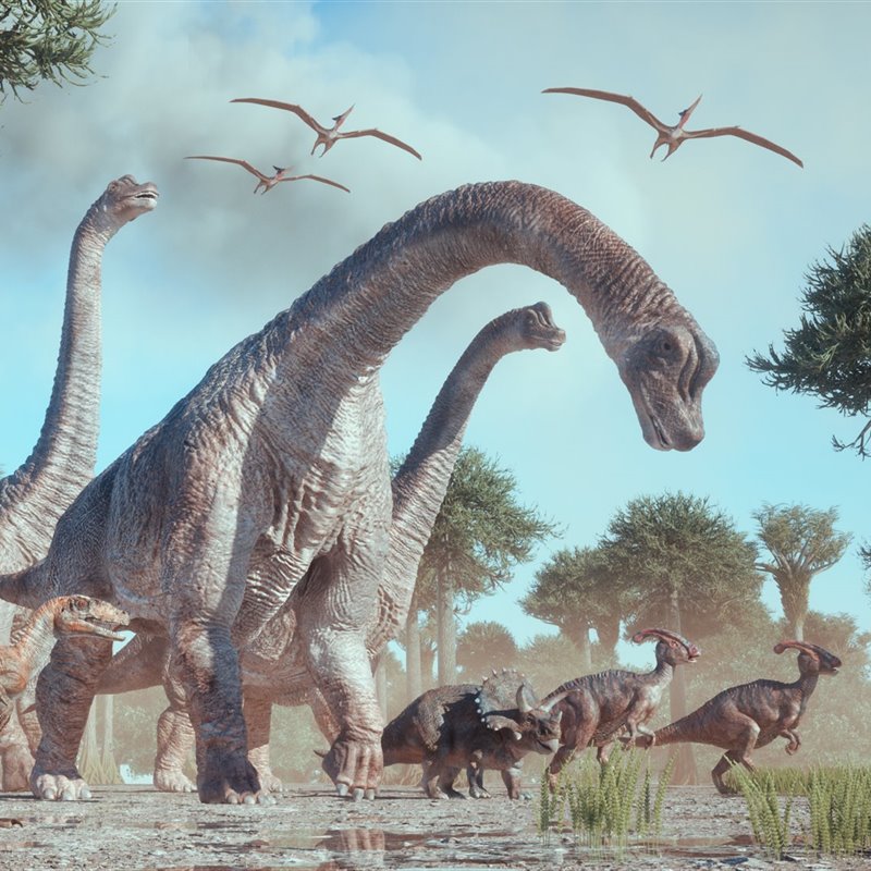 Por qué algunos dinosaurios alcanzaron tamaños tan enormes