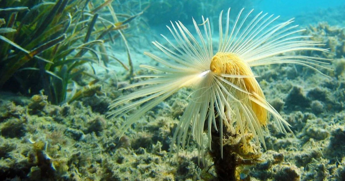 www.nationalgeographic.com.es