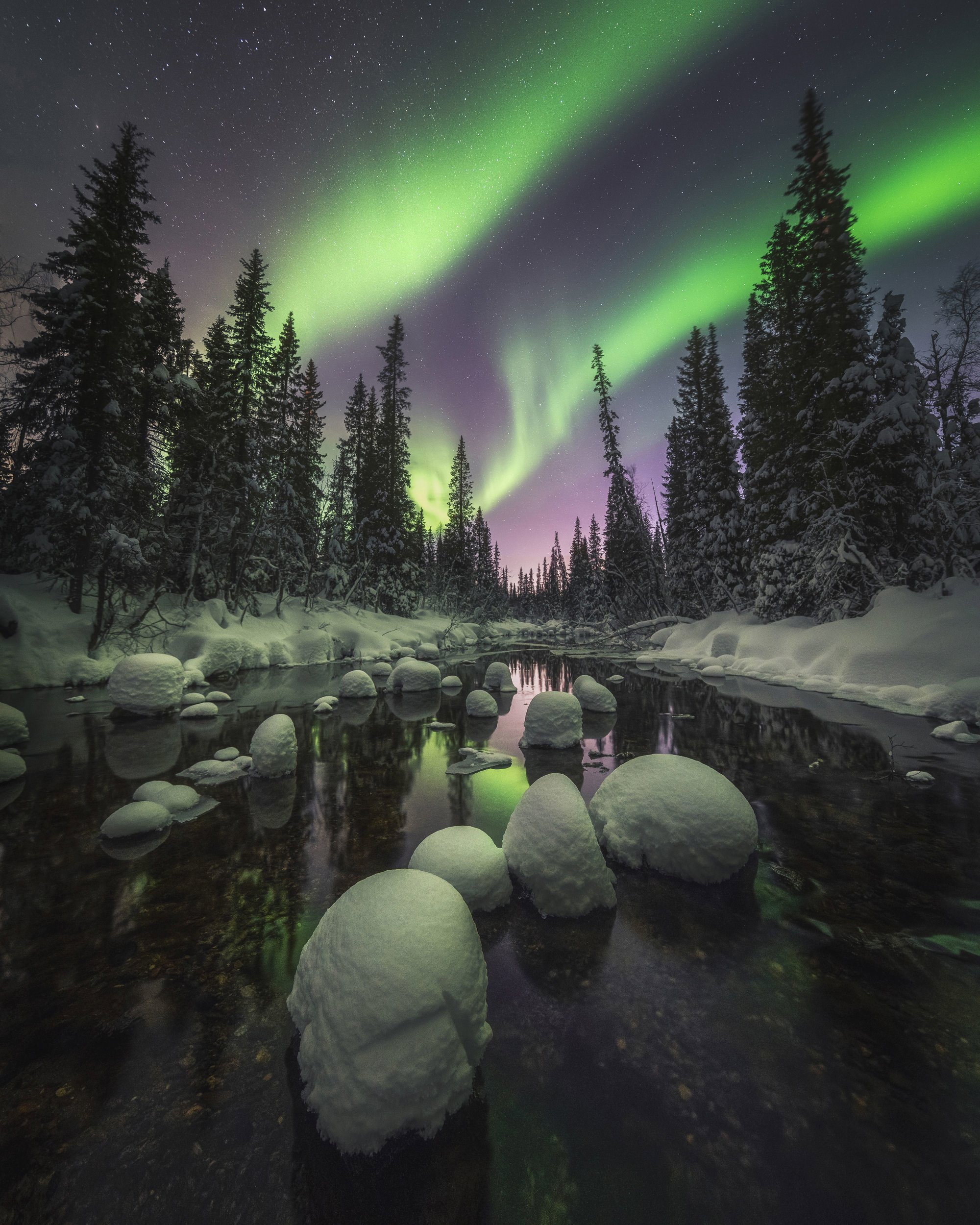 magical-night_ba3d35b2_221201173110_2000x2500.jpg