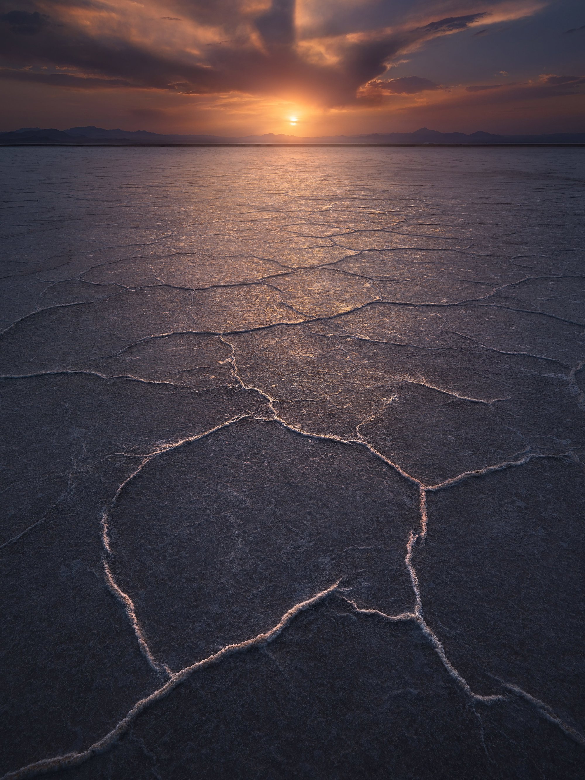 salty-puzzle_520b0976_221201171900_2000x2667.jpg