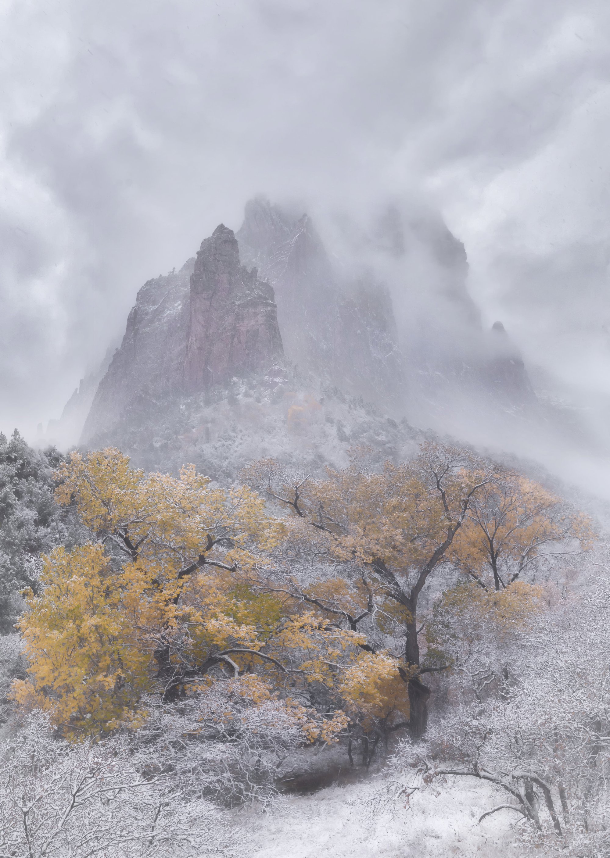 winters-spell_4eb6102d_221201171859_2000x2814.jpg
