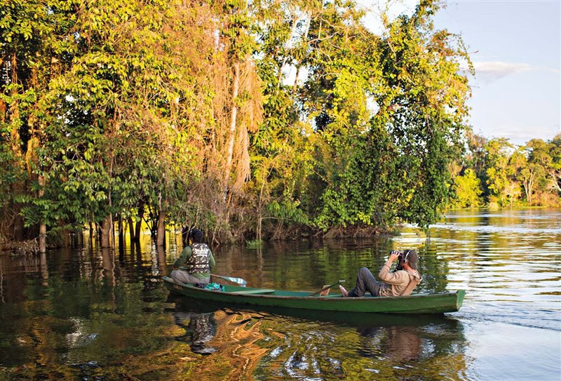 Michel André sonidos Tierra podcast Marirauá