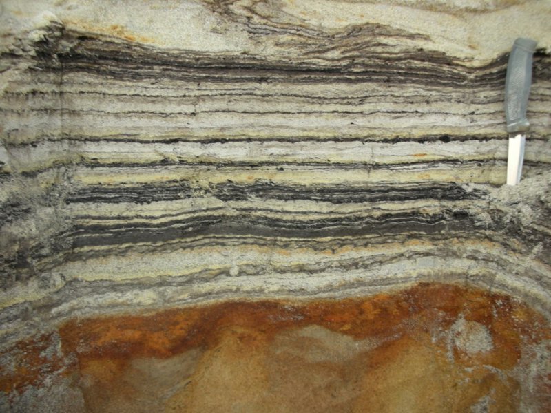 Capas orgánicas en la roca sedimentaria de Kap København.