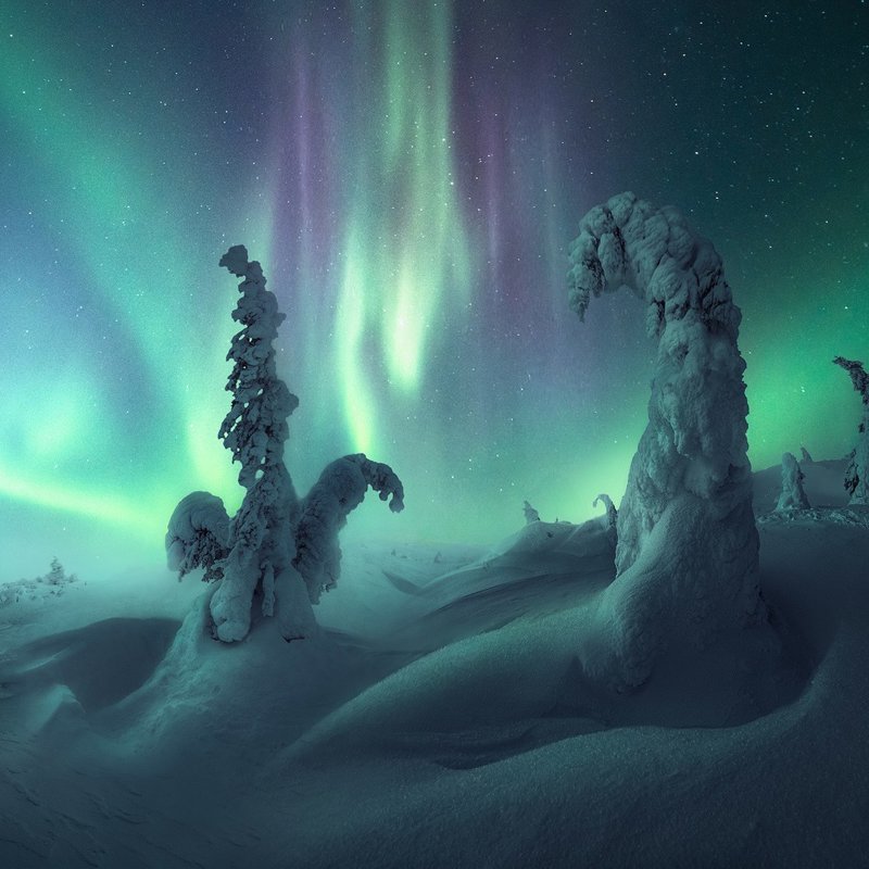 Las mejores fotos de auroras boreales de 2022
