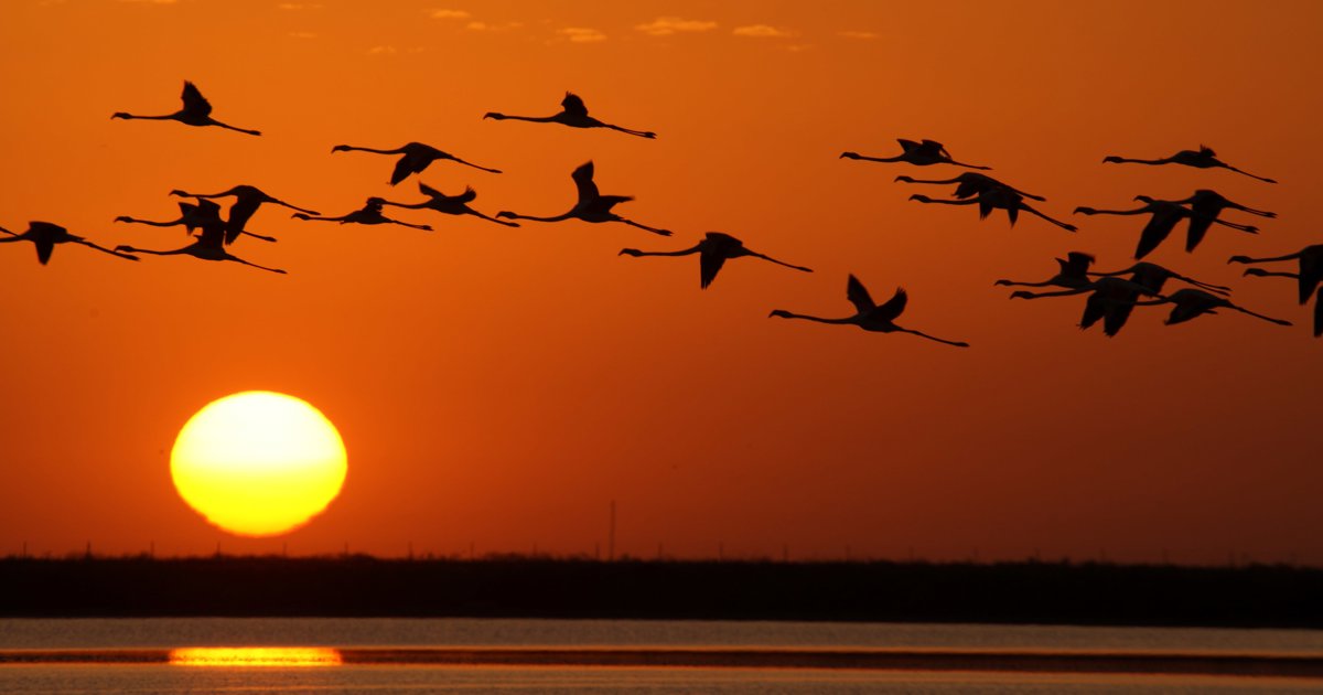 Cómo fotografiar la salida y la puesta de sol