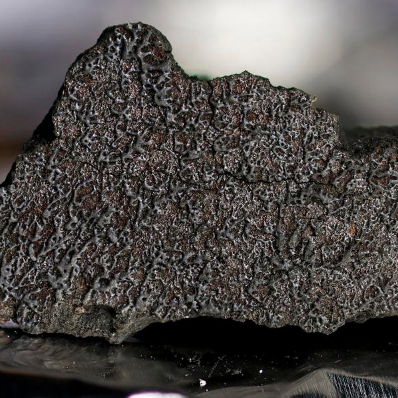 El meteorito Winchcombe y el secreto del origen de la vida en la Tierra