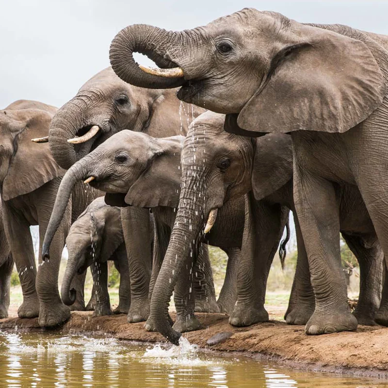 Los mejores destinos de National Geographic 