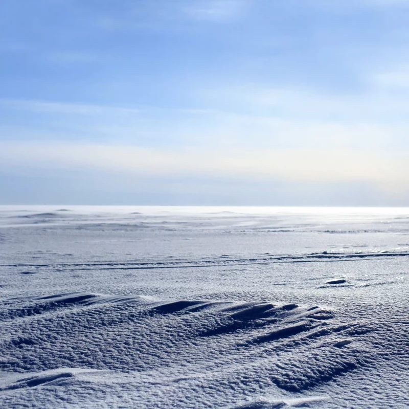 El desierto más grande del planeta es un mundo de hielo