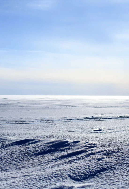 El desierto más grande del planeta es un mundo de hielo