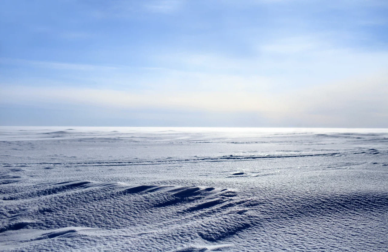 Desierto Polar Artico