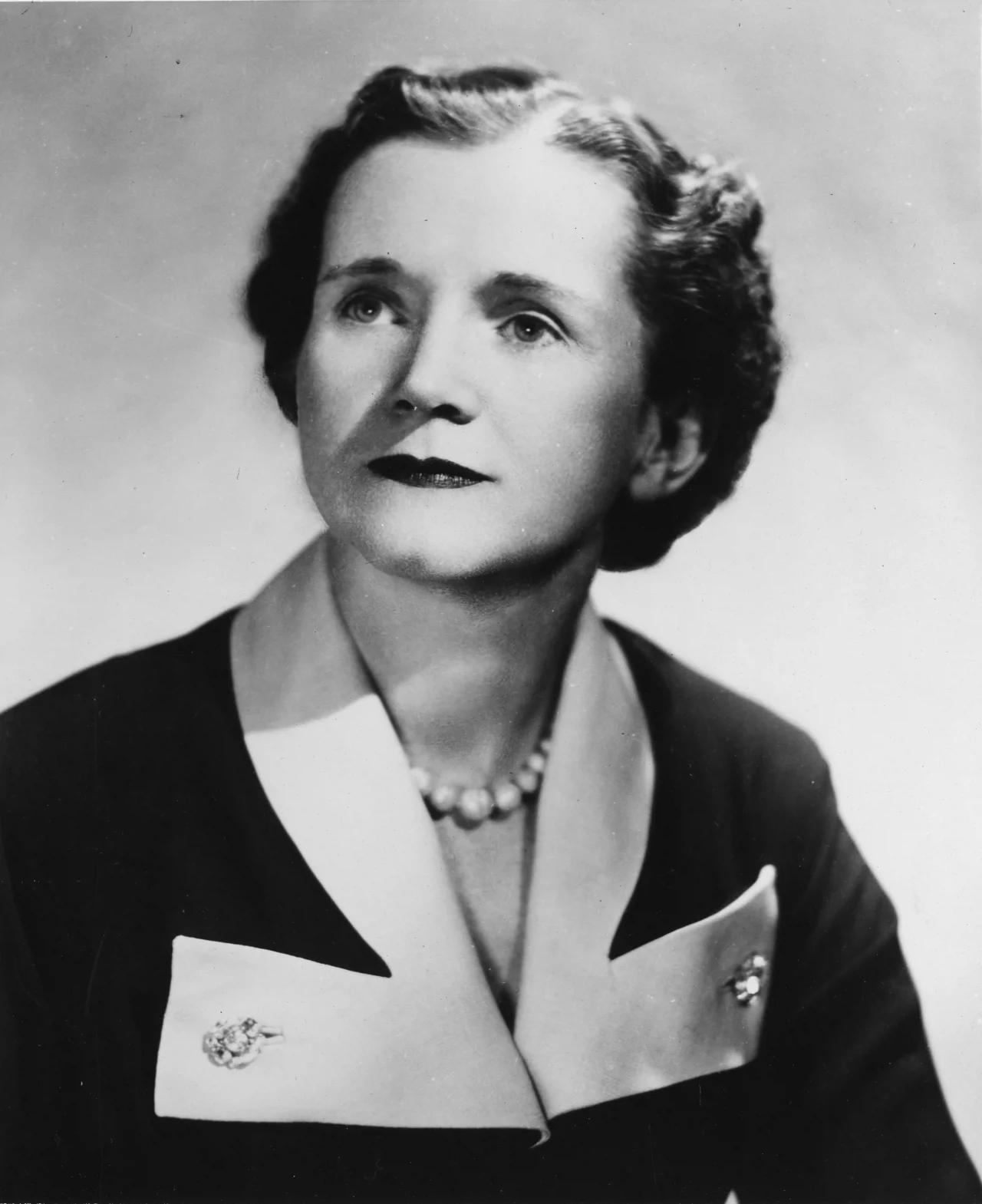 Rachel Carson (1907 -1964) 
