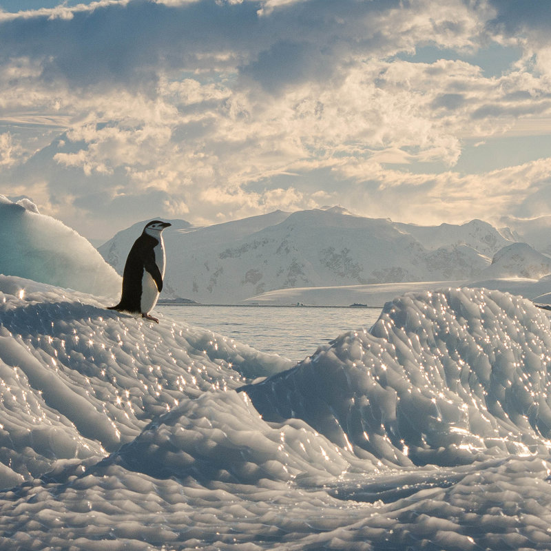 El hielo marino de la Antártida alcanza nuevos mínimos históricos