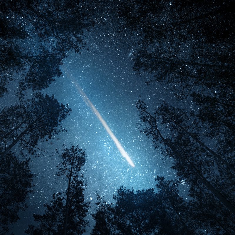 Un meteorito visto desde el interior de un bosque cruza el cielo 