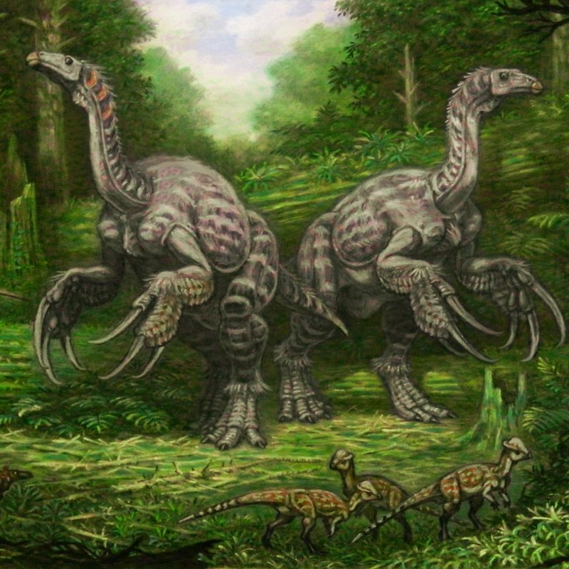 Algunos dinosaurios empleaban sus garras para excavar y exhibirse