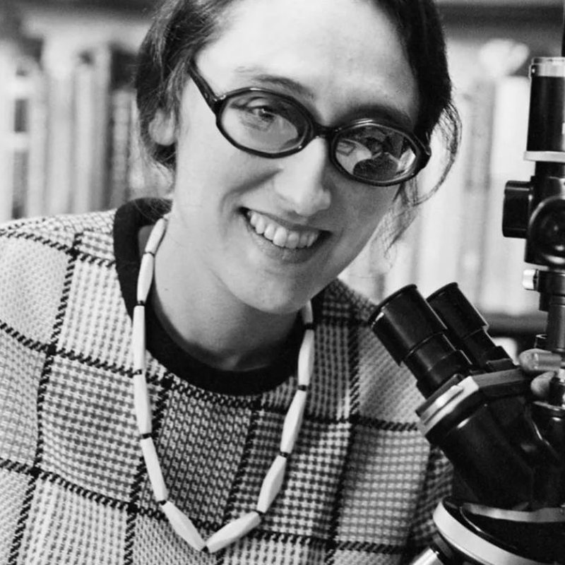 Lynn Margulis, la bióloga que reinterpretó la evolución 
