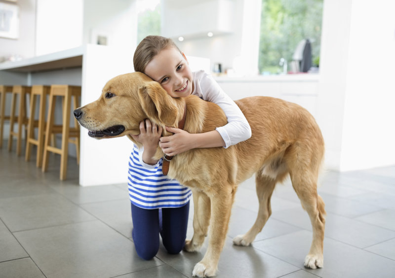 pueden los perros y los gatos entender a los humanos