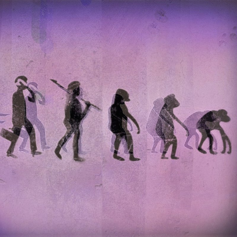 ¿Pueden las especies evolucionar hacia atrás? ¿Qué es la devolución o evolución degenerativa?