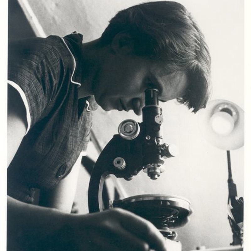 Documentos inéditos revelan el verdadero papel que tuvo Rosalind Franklin en el descubrimiento de la estructura del ADN