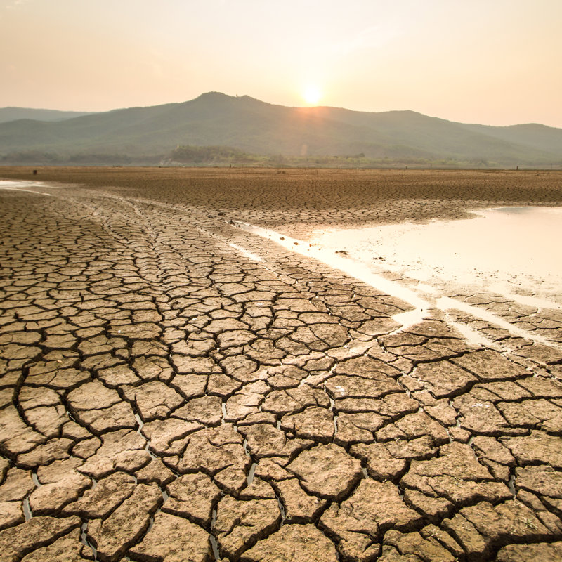 Sequía y aumento de temperatura