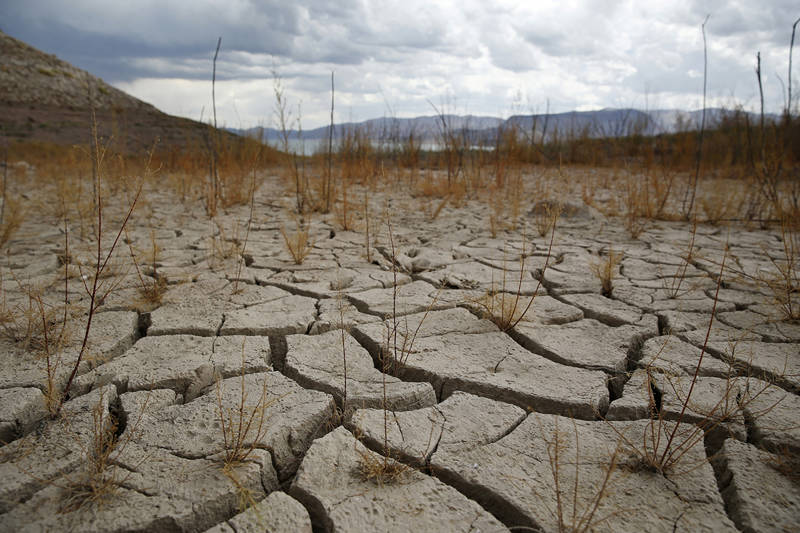 Estas son las principales amenazas para la biodiversidad