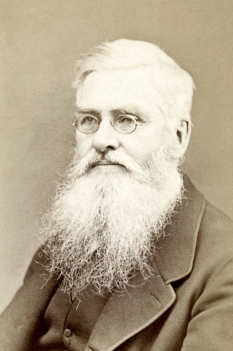 Alfred Russel Wallace El Otro Padre Olvidado De La Teoría De La