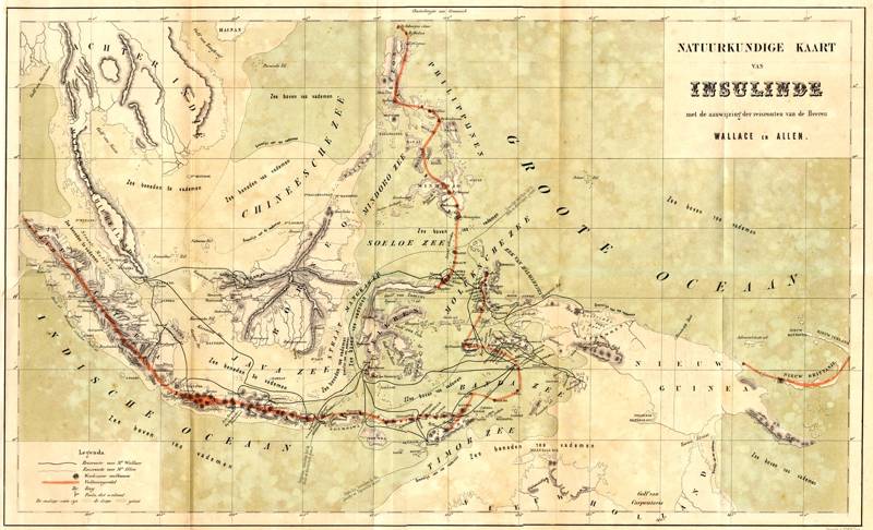Ruta del viaje de A.R. Wallace por el Archipiélago Malayo
