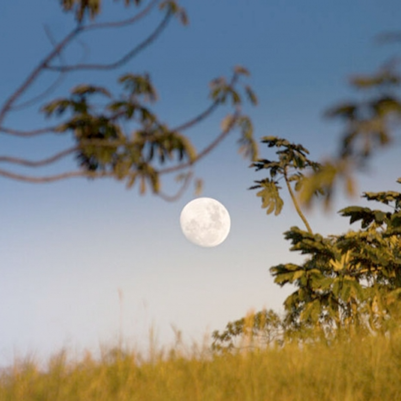 Luna de Día: un fenómeno natural y cotidiano, pero intrigante