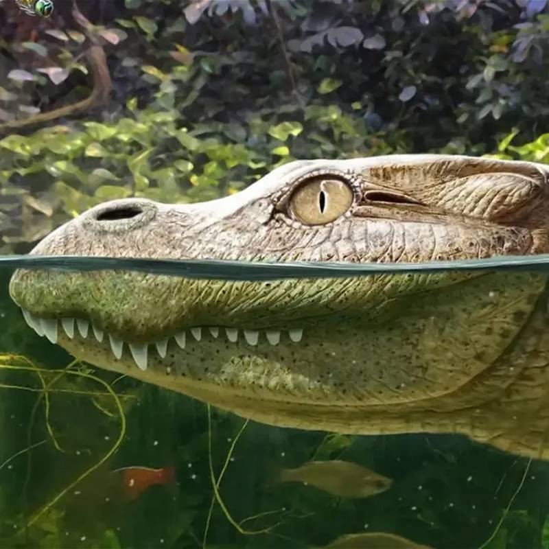 Descubierto un aligátor prehistórico, emparentado con una especie en peligro de extinción