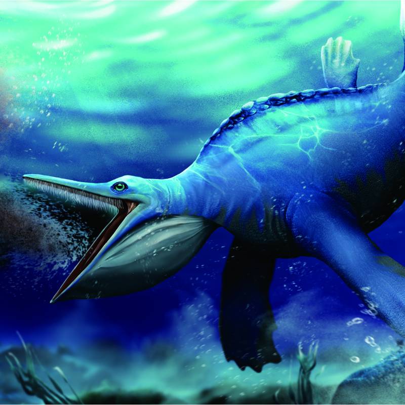 Este extraño reptil prehistórico se alimentaba por filtración, como las ballenas