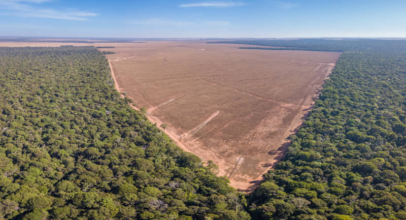 iStock Vista aérea panorámica de drones de la deforestación ilegal del Amazonas, Mato Grosso, Brasil.