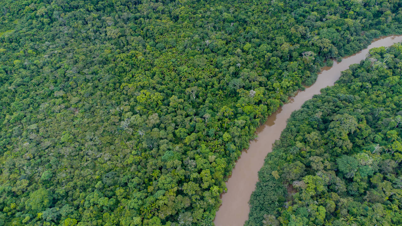 Vista aérea de la selva amazónica en Brasil, América del Sur.