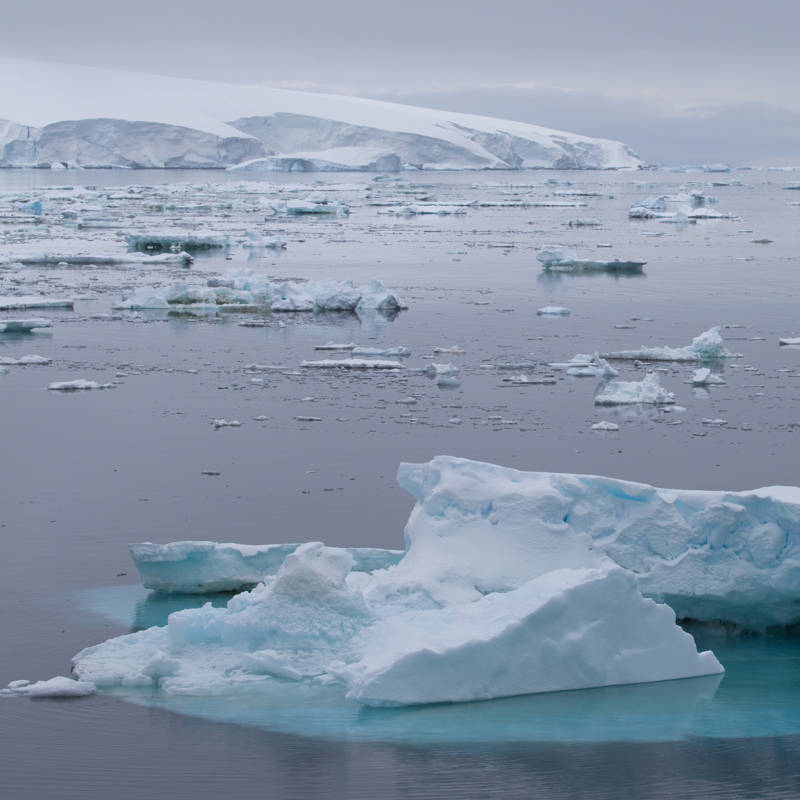 La Antártida, en mínimos históricos: el hielo perdido equivale al tamaño de Argentina