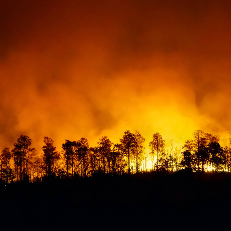 Incendios forestales: el cambio climático no es su única explicación