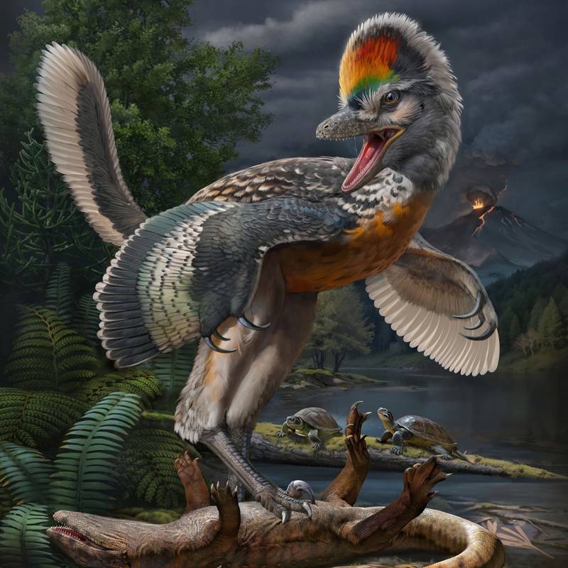Este extrañísimo fósil podría explicar el origen de los pájaros