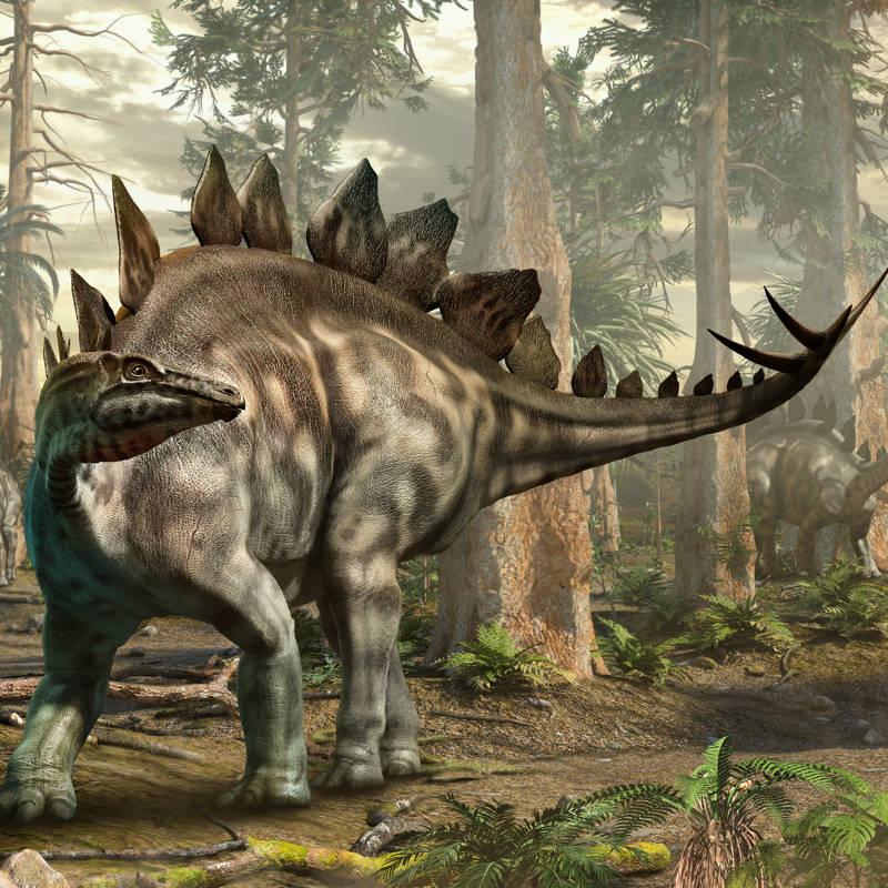 Descubren en China dos fósiles de dinosaurios que vivieron un gran cambio de era