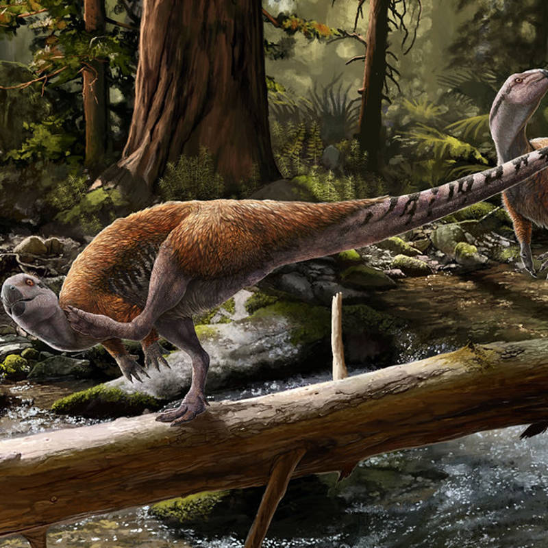 Esta familia de dinosaurios era endémica de una zona muy concreta de Europa