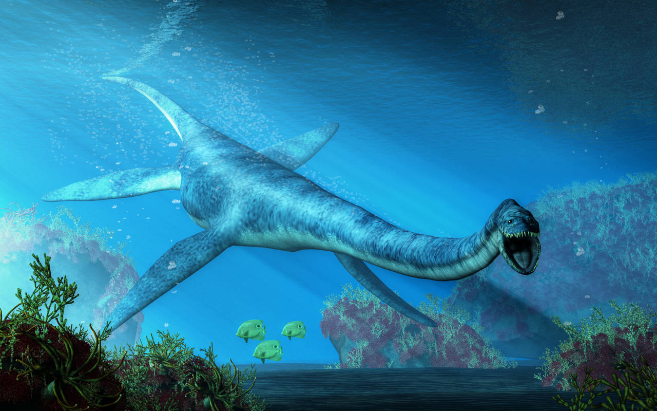 Plesiosaurios, los aterradores reptiles marinos de la era Mesozoica