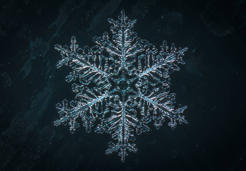 snow macro snowflake