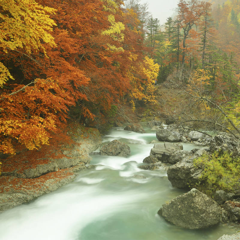 Paisaje de color otoño: desmontando una fotografía