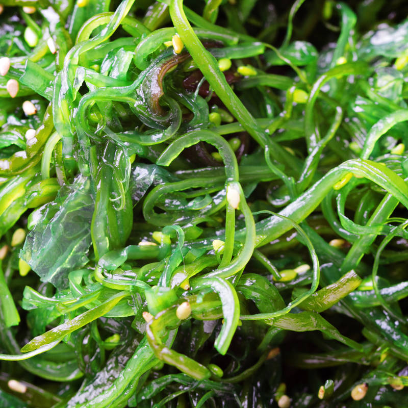 Las algas, una nueva moda en la alimentación… que tiene más de 8.000 años