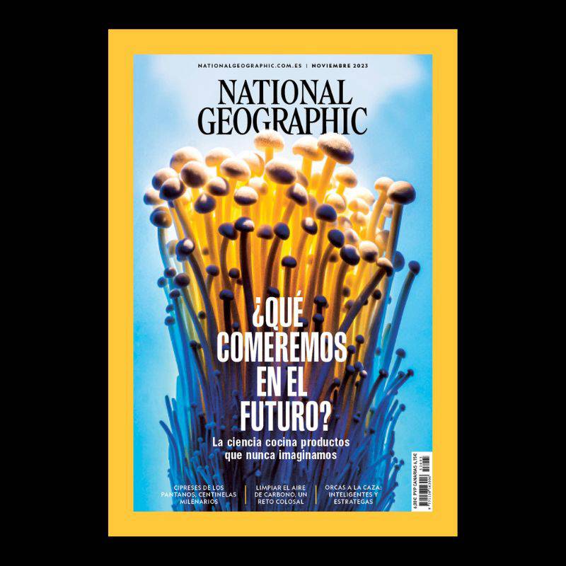 National Geographic Noviembre 2023