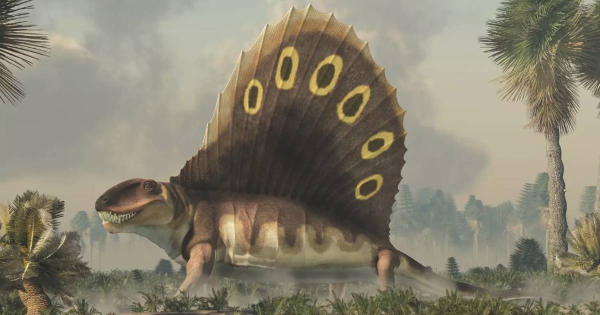 La Gran Mortandad La Mayor Extinci n Masiva De La Historia