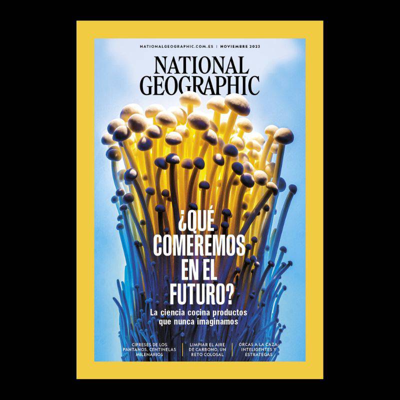 National Geographic noviembre 2023