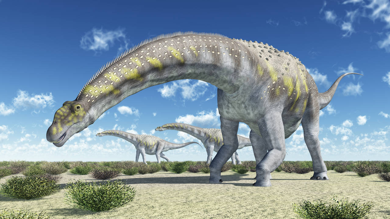 Patagotitan (2)