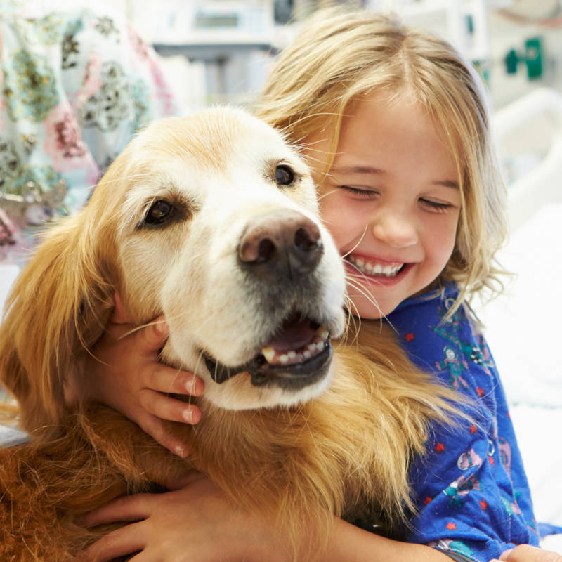 La terapia con perros en los hospitales mejora la salud de los pacientes