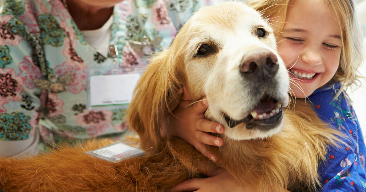 pueden los perros de terapia ir a las tiendas