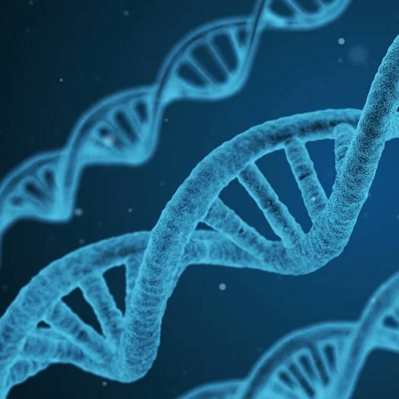 Reino Unido aprueba el primer medicamento que usa tecnología CRISPR